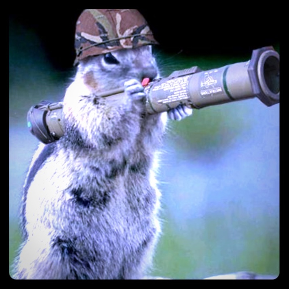 This photo is for conversations or comments only.